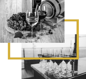 about-winery-main